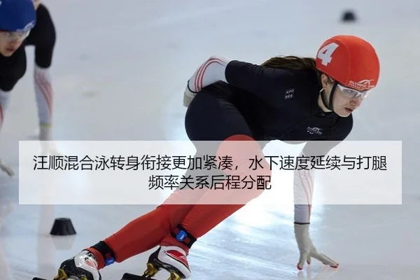 wang-shun-hun-he-yong-zhuan-shen-xian-jie-geng-jia-jin-cou-shui-xia-su-du-yan-xu-yu-da-tui-pin-lv-guan-xi-hou-cheng-fen-2-448.jpg